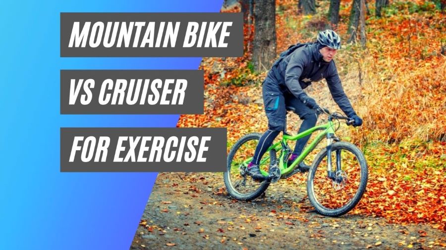What Is The Difference Between A Cruiser Bike And A Mountain Bike?