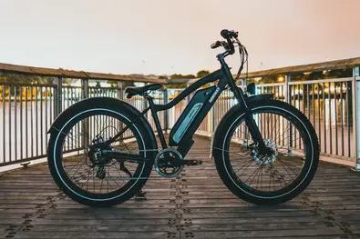 why electric bikes are not popular 1