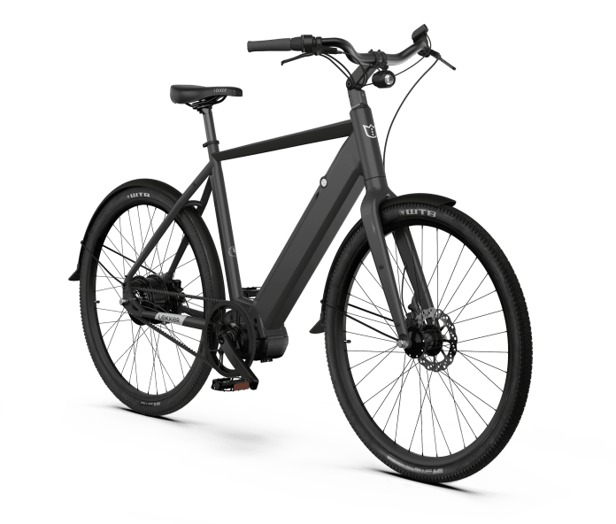 how strong is a 1000w ebike