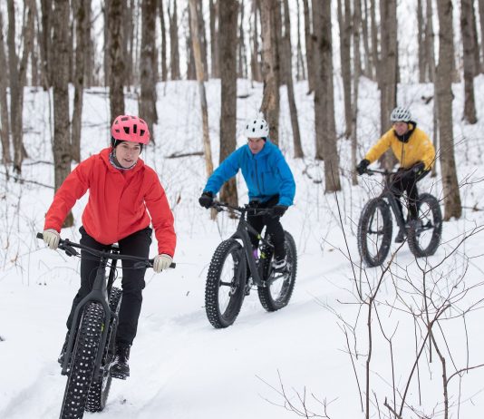 fat bikes wide tired bicycles for snow and sand