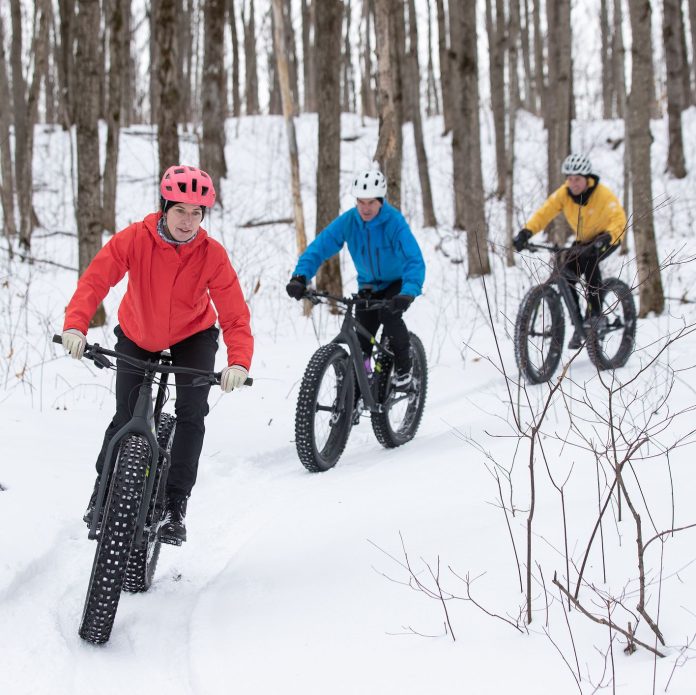 fat bikes wide tired bicycles for snow and sand