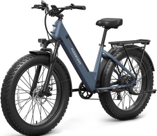 PUCKIPUPPY Electric Bike 960W Peak review