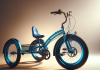 VIRIBUS Adult Tricycle review