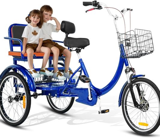 MOOITZ Adult Tricycle 20 Inch review