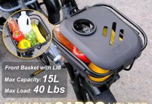 Breeze Pro Folding Electric Tricycle for Adults Review (2026)