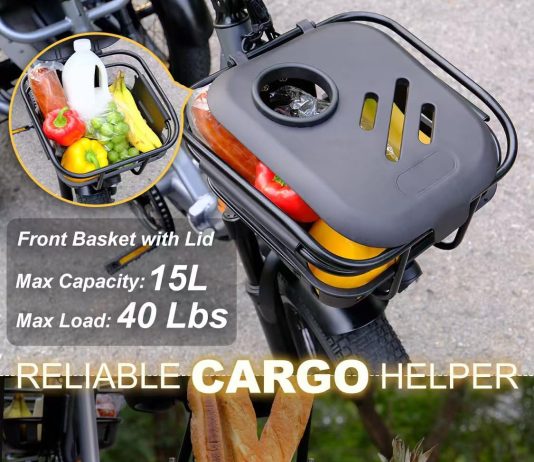 Breeze Pro Folding Electric Tricycle for Adults Review (2026)