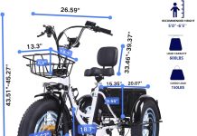 Tricycle for Adults, 20″x4″ Fat Tire Trike Review (2026)