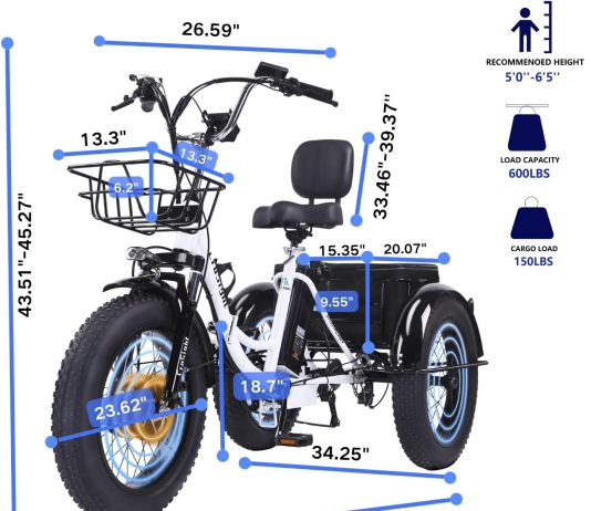 Tricycle for Adults, 20″x4″ Fat Tire Trike Review (2026)